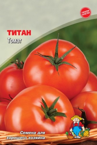 Томат Титан