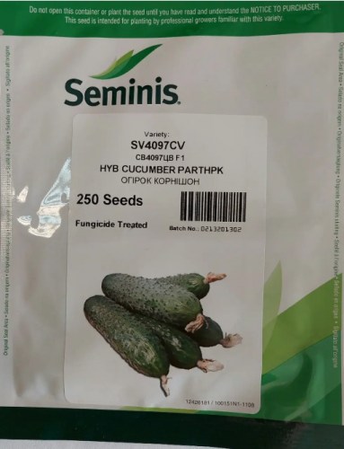 4097