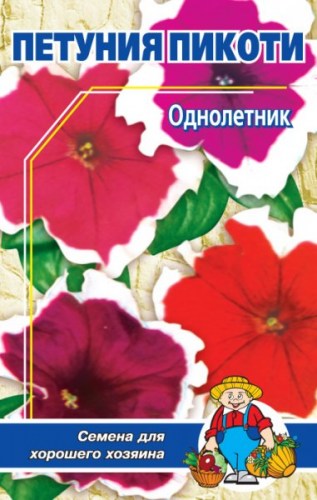 ПЕТУНИЯ ПИКОТИ