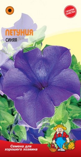 ПЕТУНИЯ СИНЯЯ