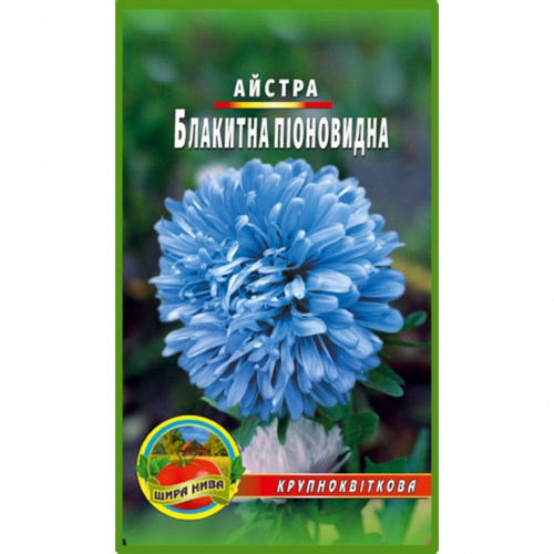 Астра піоноподібна Блакитна