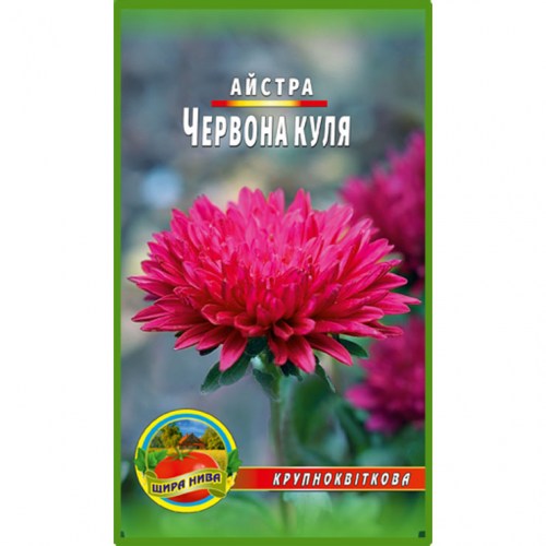 Астра Червона куля