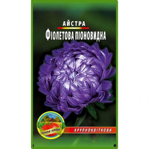 Астра піоноподібна Фіолетова