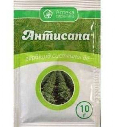 antisapa