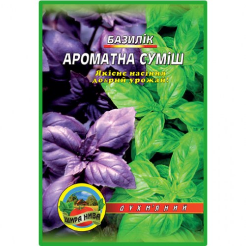 Базилик Фиолетовый