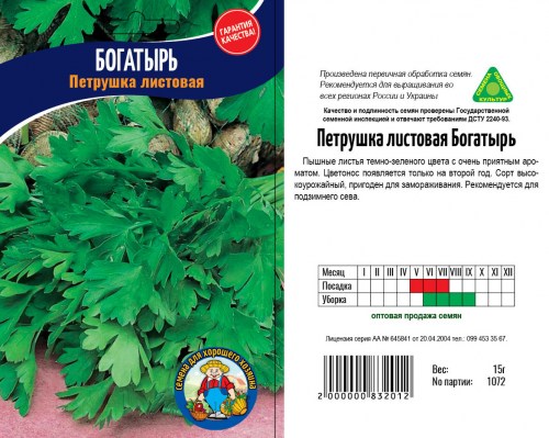 bogatyr6