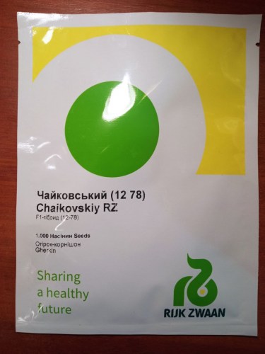 chajkovskij5