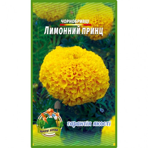 Бархатцы Лимонный принц
