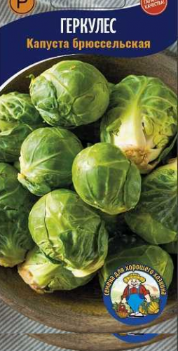 gerkules