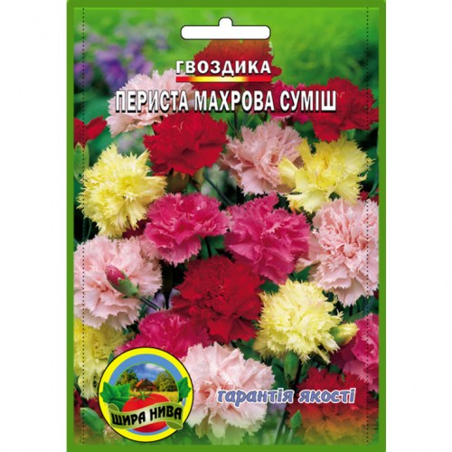 hvozdyka-perysta-makhrova-sumish
