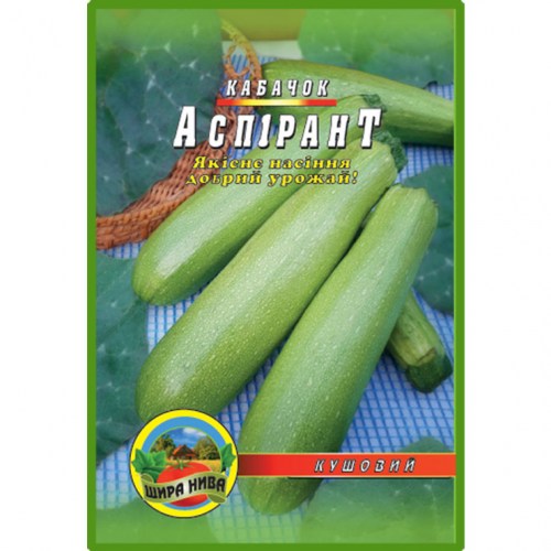 Кабачок Аспірант
