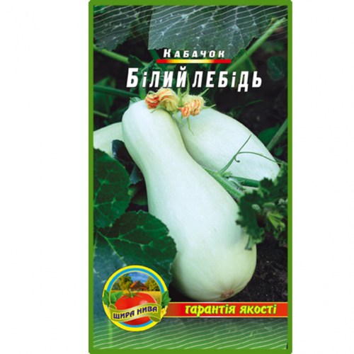 Кабачок Белый лебедь
