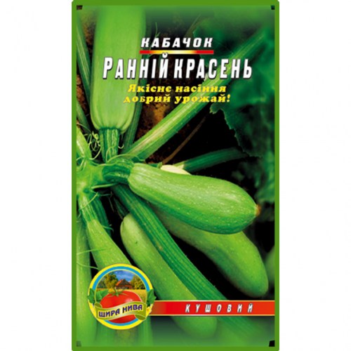 Кабачок Ранний красавчик  (нг)