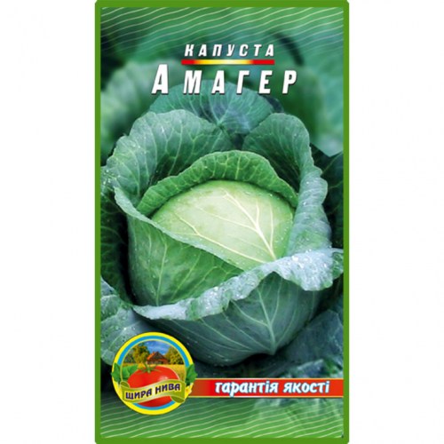Капуста Амагер