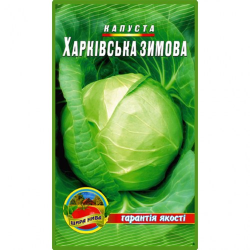 Капуста Харківська зимова