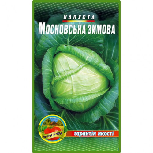 Капуста Московская зимняя