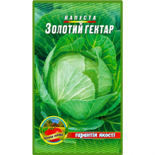 Капуста Золотий Гектар