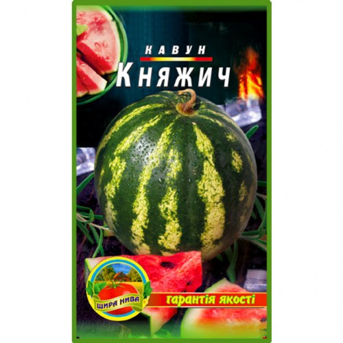 kavun-kniazhych