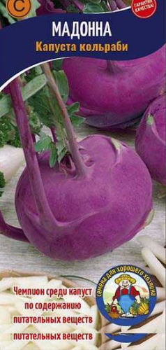 kolrabi
