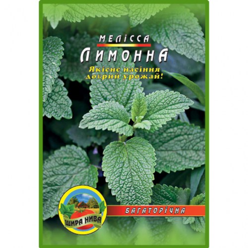 Укроп Лесногородский