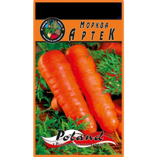 Морква Артек (Польша)