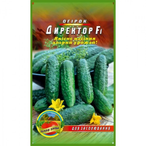 Огірок Директор - 1гр