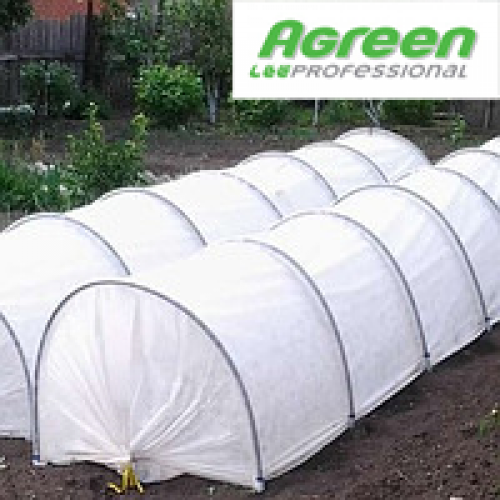 parnik_agreen
