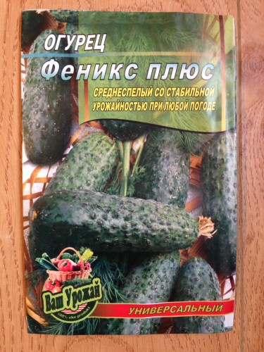 Огурец  Феникс плюс