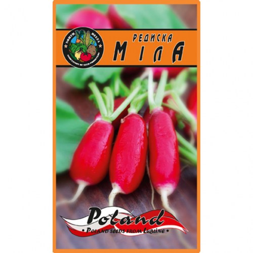 Редиска Міла (Польша)
