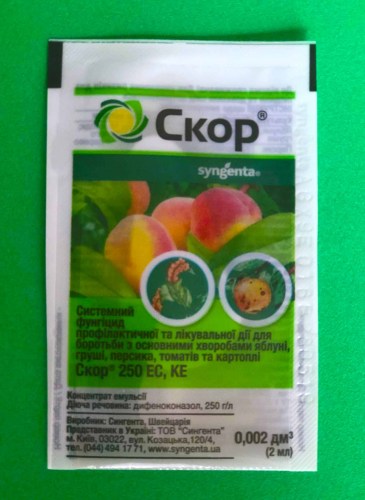 skor-2-ml