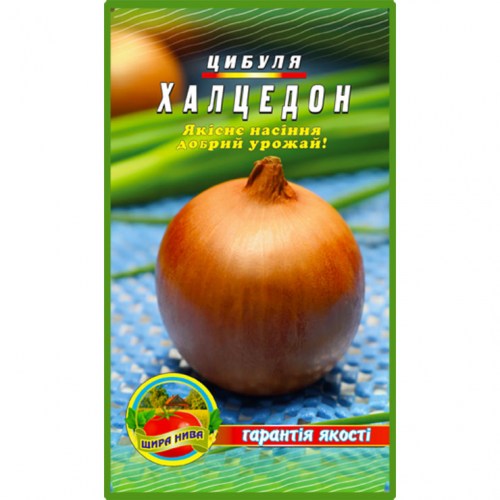 Цибуля Халцедон