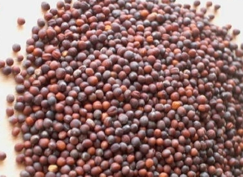 veskapusta